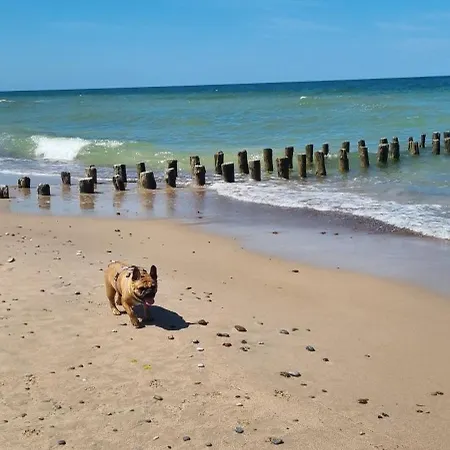 Swiety Spokoj Rusinowo- Nad Morzem Z Wlasnymi Ogrodkami Русиново