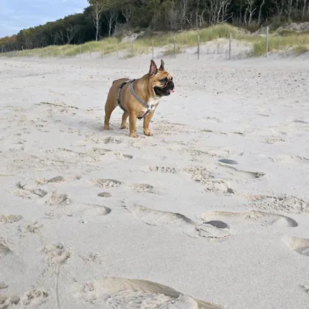 Swiety Spokoj Rusinowo- Nad Morzem Z Wlasnymi Ogrodkami *