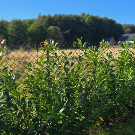 Swiety Spokoj Rusinowo- Nad Morzem Z Wlasnymi Ogrodkami Дом отдыха Русиново