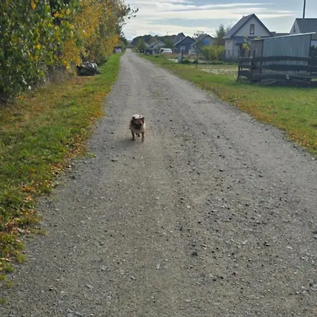 Swiety Spokoj Rusinowo- Nad Morzem Z Wlasnymi Ogrodkami Дом отдыха